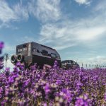 RV Travel in Arkansas: Discovering the Perfect Campsites in the Natural State