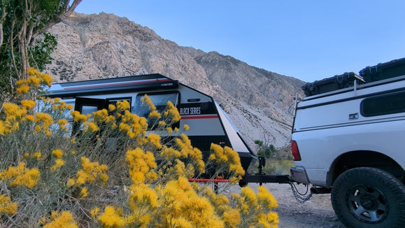 RV Travel with Pets: Essential Tips & Pet-Friendly Campgrounds
