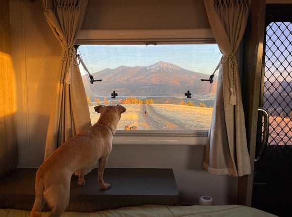 Living in a Trailer Full Time: Pros, Cons & USA Trailer Park Life