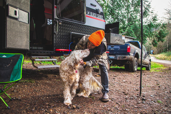 Camping With Dogs in an Off-Road Camper