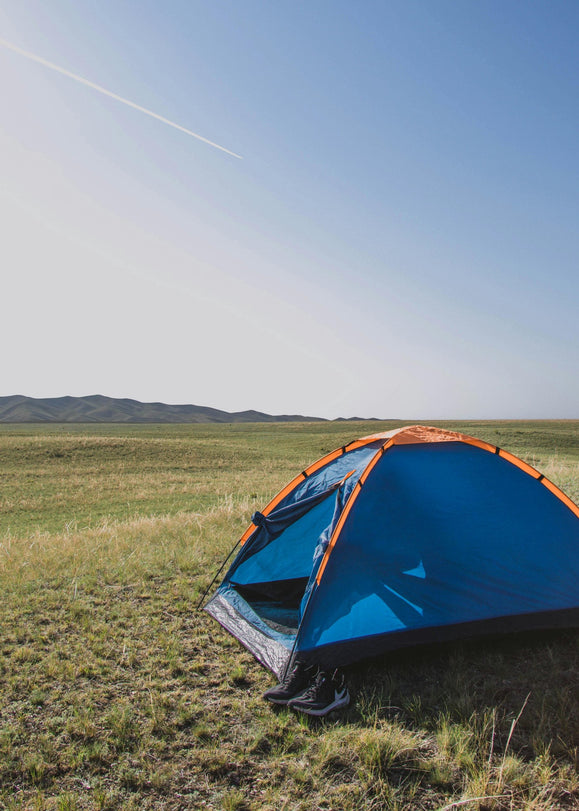 BLM vs National Forest Boondocking Rules for 2026