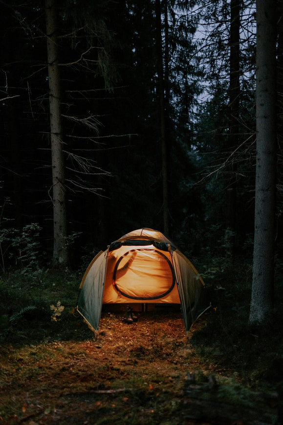 Bear-Proof Trailer Storage for Yellowstone Trips