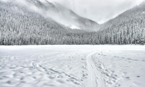 Essential Tips for Winter RV Camping: Stay Warm and Protect Your Pipes