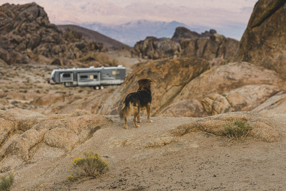 Off-Road Trailer Suspension Guide for Smarter Buying